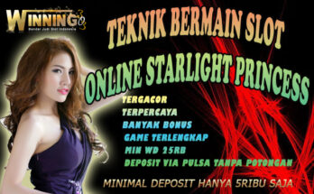 Teknik Bermain Slot Online Starlight Princess